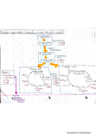 Week 3: Cellular Respiration 