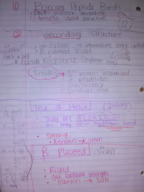 Cellular and Molecular Biology-- Week 2 Notes