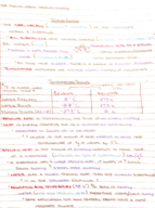 The Physical World Week 4 Notes