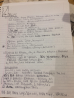 History 1320