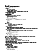 Elementary PYSC Week 4 Class Notes