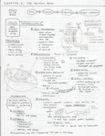 NTRI  Week 3: Ch 3
