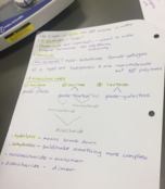 Biology Study Guide Ch 1 and 2