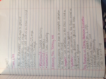Anthropology notes week 3