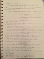 ECON 203 - Chapter 2 Notes