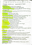 NUR206 Gastrointestinal System