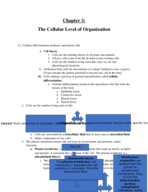 Chapter 3 -cellular level of organization 