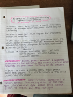 Polisci week 2 notes