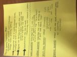 Reading Instruction In The Primary Grades