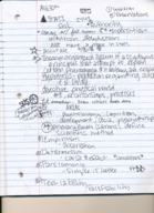 Stats Notes on lecture