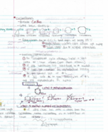 week 4 notes