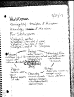 World Oceans Chapter 1 lecture notes and notes from Reading