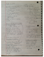 SOC 111 (Leake) Week 2 notes