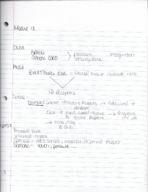 Neuro Notes from Modules 1-3