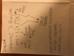 Midterm 1 Study Guide