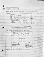Ecology Lecture Notes September 18