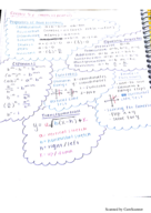 Chapter 6 Exam Study Guide