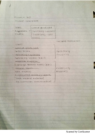 FIN 3403 - Week 3 Notes