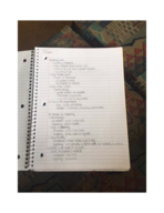 Week 4 Notes
