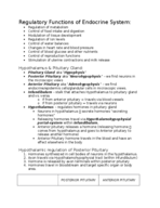 Regulatory Functions of Endocrine System