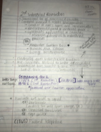 History, Week 11, Test 2