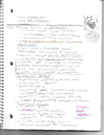 Introductory Sociology - Defining Features of Sociology