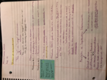 Environmental Ethics, Week 1 Notes 