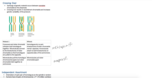 Mitosis and Meiosis Notes