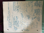 PSYC 224 Week 4