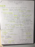 BSC 2010 Notes week 5 