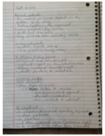 SOC 111 week 3 notes