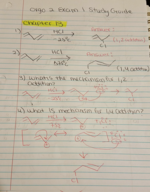 Exam 1 Study Guide