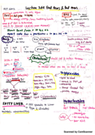 obesity Lecture.3-4