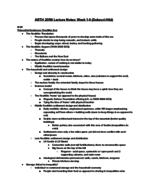 ARTH 2056: Week 1-4 Notes