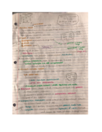 Biology Lecture Notes Week Four