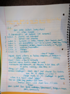 Anthropology 220 week 2 notes