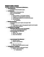 Exam Material Needed for EXAM 1