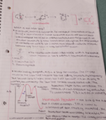 Week 2 Notes