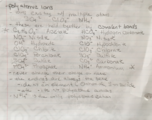 Week 4-5 Notes