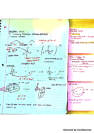 Chem 343 Week 3 Notes