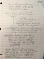 sociology, week 5 notes