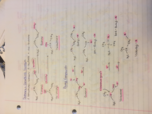 Chem 221- week 3