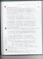 Philosophy WK 4