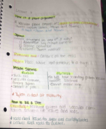 BIO 1500 Week 4 Notes