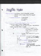 Lecture Notes:  Atlantic World Lecture
