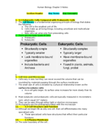 Human Bio Chapter 3 Notes