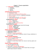 BIOL 2203 Chapter 5 Tissues organization