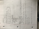 Mgmt notes 