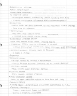 LifeSpan Development Ch 4