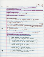 Chapter 7 Notes